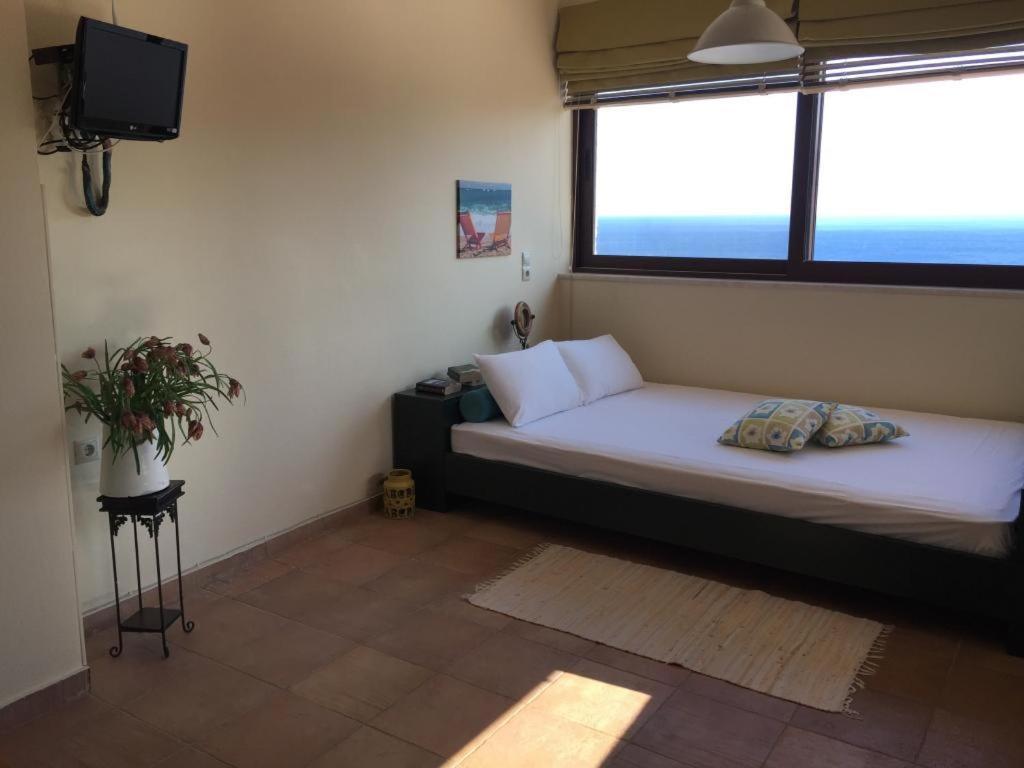Votana Villa & Apartments 考特索纳里 外观 照片